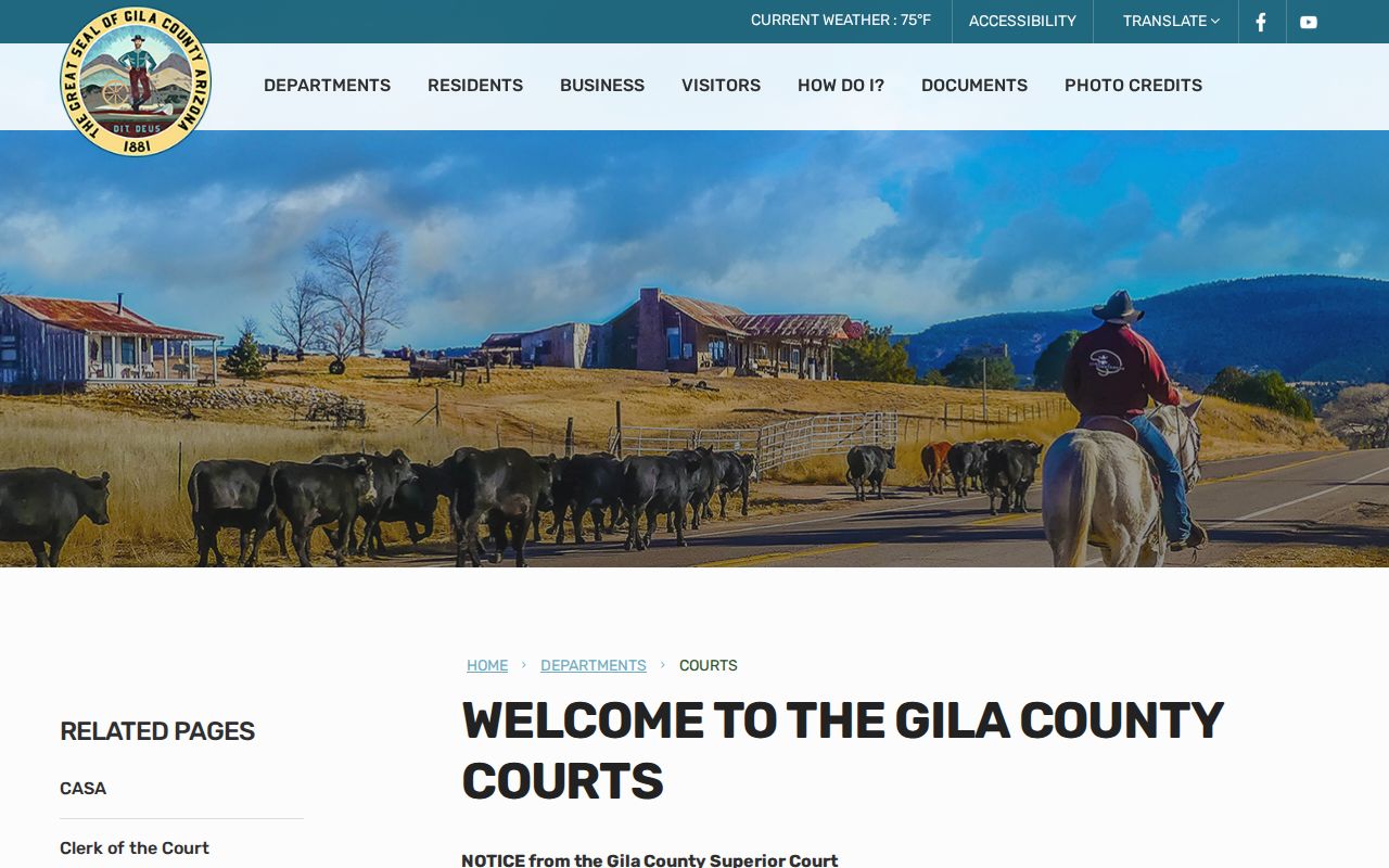 Gila County criminal history court access page